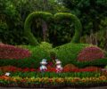 Transform Your Small Garden into a Personal Oasis